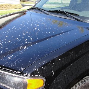 Wash_2