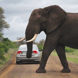 Namibia_Car_Rental
