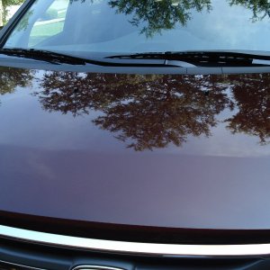 Honda Odyssey After 5