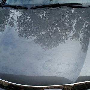BF MSSW10