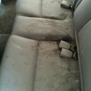 Before Neon Interior