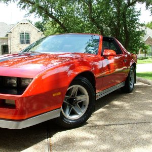 '82 Camaro 04