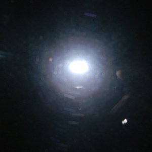 06 black DTS 1