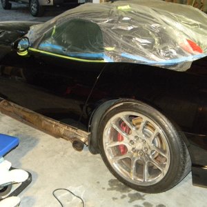 04 black viper
