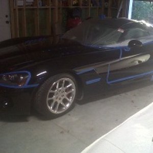 04 black viper