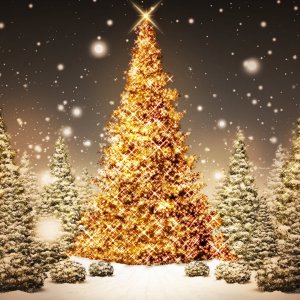Christmas-Lights