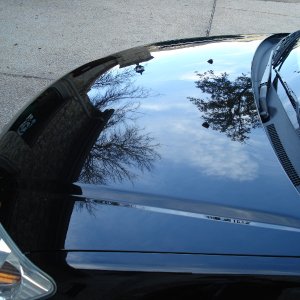 DCivic After 06