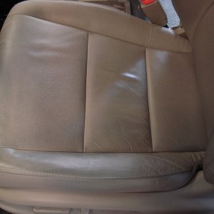 Odyssey Jean Xfer 01
