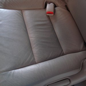 Odyssey Jean Xfer 02