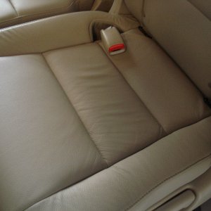 Odyssey Leather 02