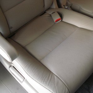 Odyssey Leather 03