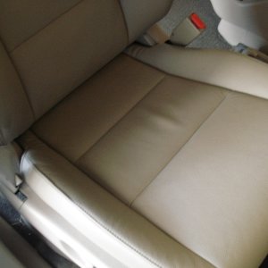 Odyssey Leather 04
