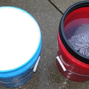 Suds1b