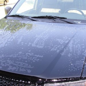 Wash_21