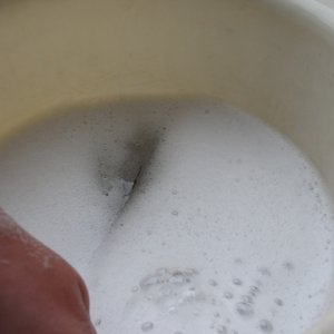 DSC04825