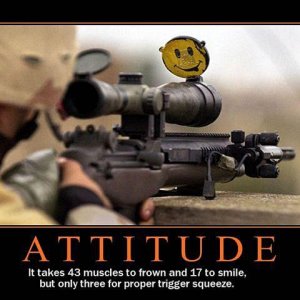 Attitude