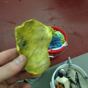 clay1