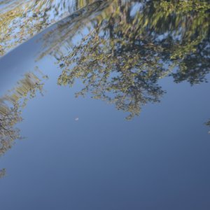 Migliore 06