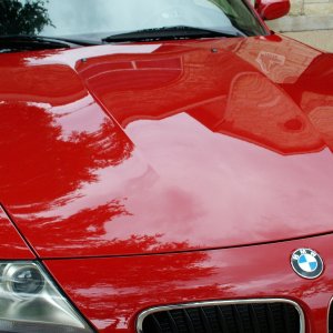 Z4M After 19