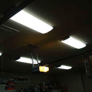 New Lights 01