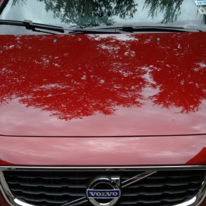Volvo 07