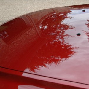 Volvo 08