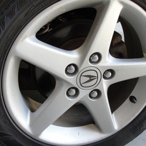 Wheel_Woolies_3