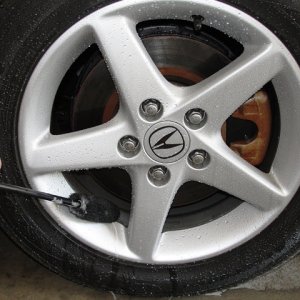 Wheel_Woolies_13