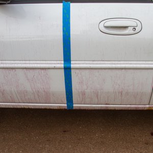 CARPRO_IX-2
