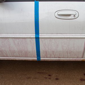 CARPRO_IX-3