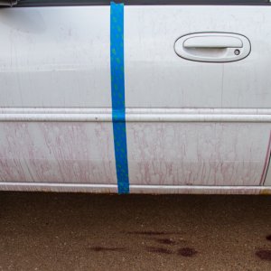 CARPRO_IX-4