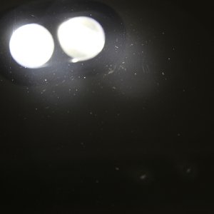 REFLECT-5
