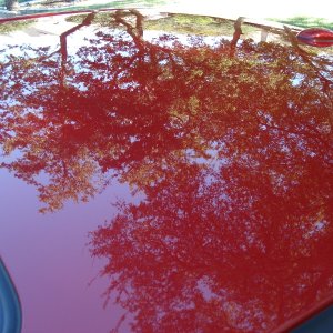 Camry After 09