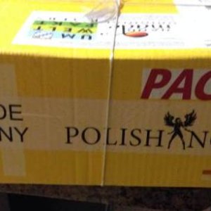 PolishAngel_1