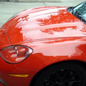 Vette 02