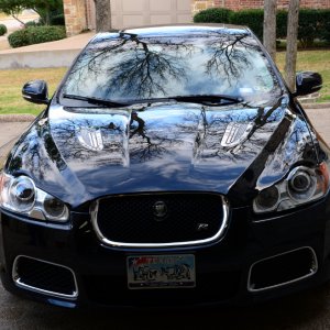 XFR 01