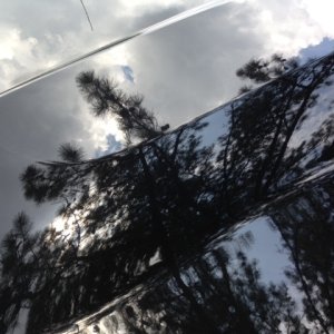 Hood_Gloss_1