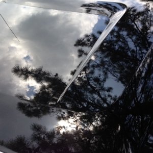 Hood_Gloss_2