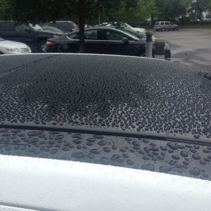 PBL Glass Coating Panoramic roof rear
