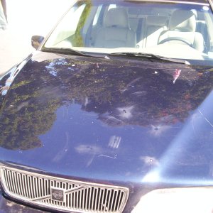 Customer tried scratch removal with scrubbie pad