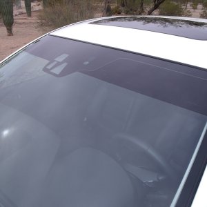 WS_Tint_2