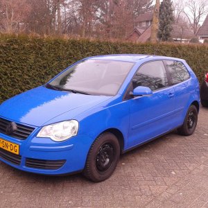 polo