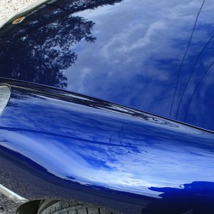 Sonus SFX-4 Sealant Results