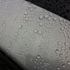 IMG_3196a