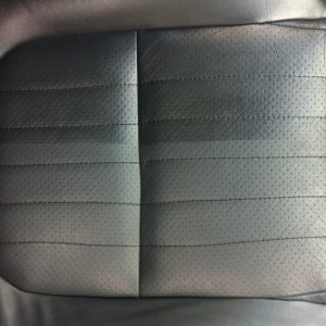 Blackfire Leather Conditioner 50/50