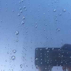 IMG_0175