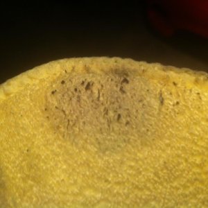 IMG_3800a