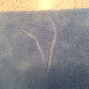 Defective Woobie 1