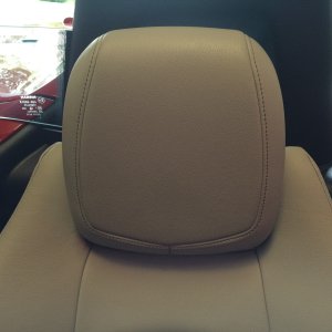 Britemax Leather