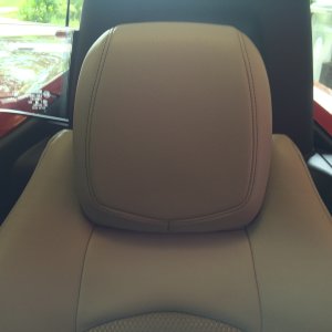 Britemax Leather